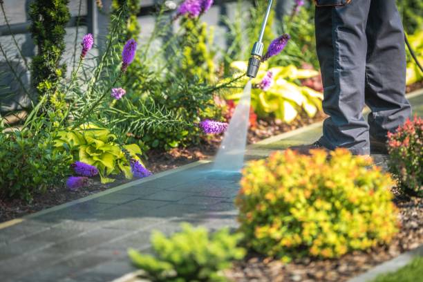 Best Boat and Dock Cleaning  in New Holland, PA